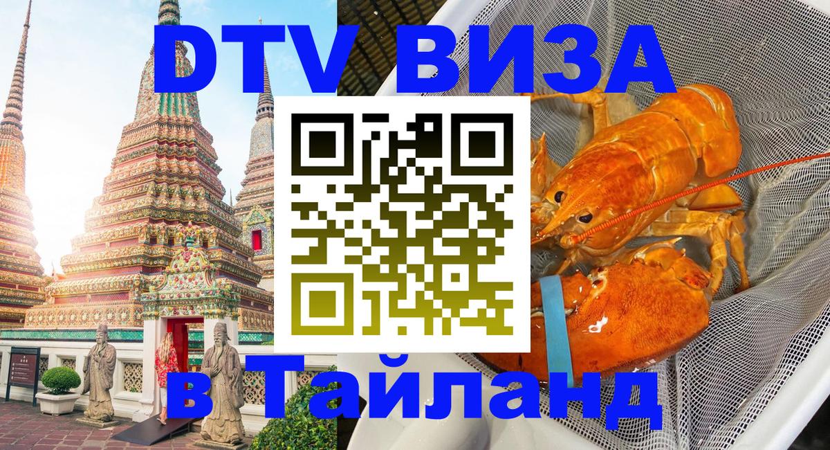 Сколько стоит DTV виза — актуальные цены, оформление даже без документов - Самет  21.11.2025 